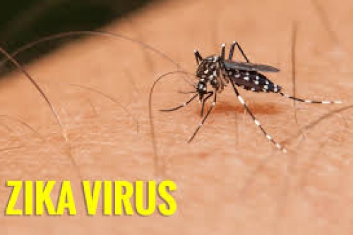 Triệu chứng và cách phòng ngừa dịch bệnh Zika
