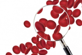 Đột phá y học: Chuyển được toàn bộ nhóm máu về máu O