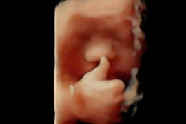 Chưa gì mà đã biết thả like rồi mấy cô chú ơiiiii