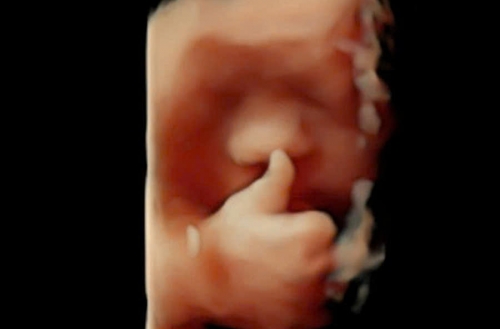 Chưa gì mà đã biết thả like rồi mấy cô chú ơiiiii