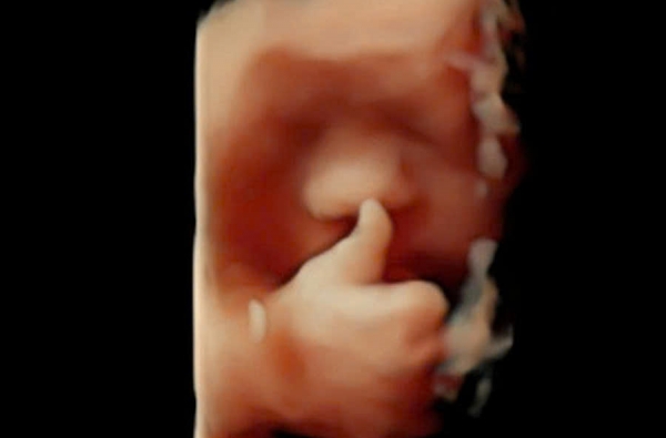 Chưa gì mà đã biết thả like rồi mấy cô chú ơiiiii