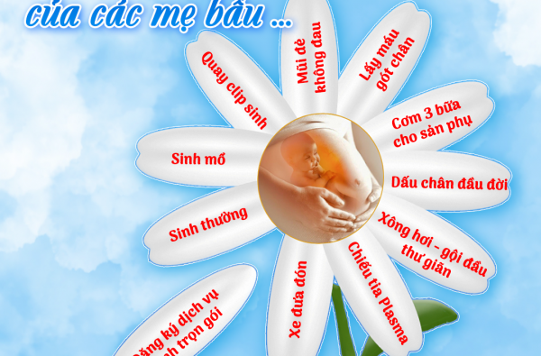 Nỗi lòng các mẹ bầu....
