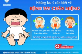 NHỮNG ĐIỀU CẦN BIẾT VỀ TAY CHÂN MIỆNG