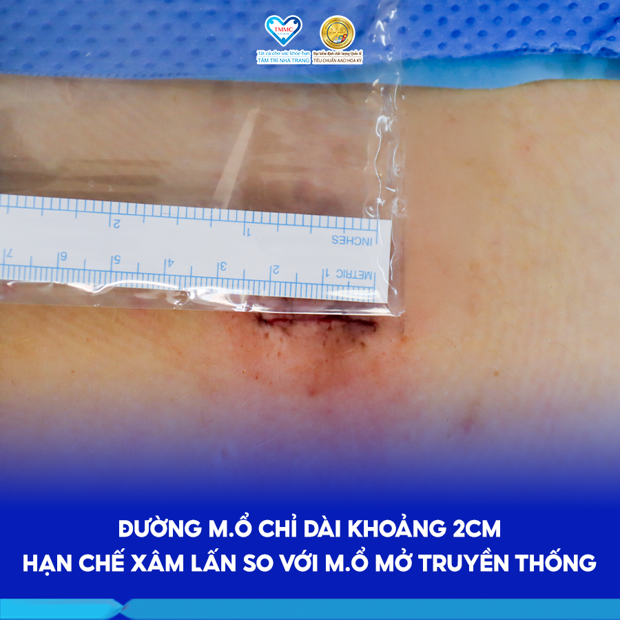 BAC_MINH_3