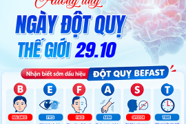  HƯỞNG ỨNG NGÀY ĐỘT QUỴ THẾ GIỚI 29/10/2026
