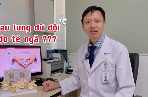 BƠM XI MĂNG SINH HỌC