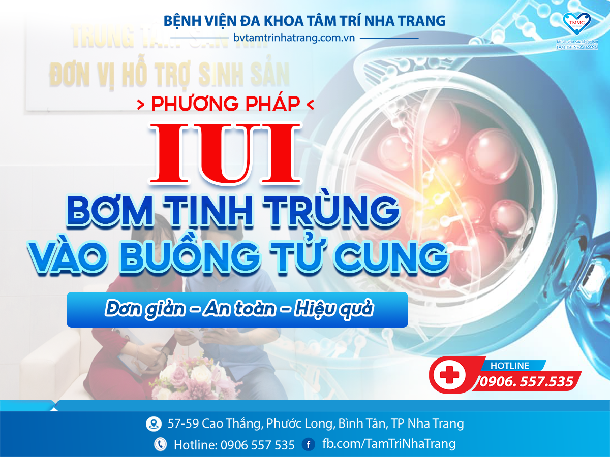 IUI_1